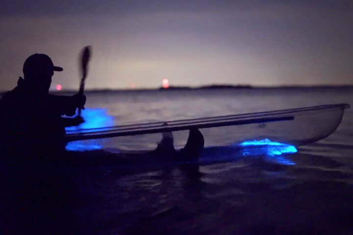 Florida Bioluminescence Clear Kayak tour/ Beacon 42 (Titusville) - Photo 1 of 8